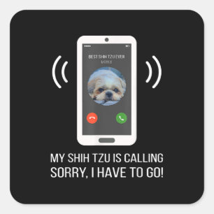 Sticker Carré Shih Tzu Lover   Drôle Chih Tzu Chien