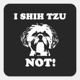 Sticker Carré Shih Tzu Lover I Shih Tzu Pas Drôle Chien