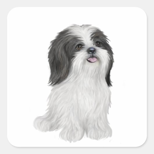 Sticker Carré Shih Tzu - noir et blanc (par JF) (Devant)