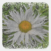 Sticker Carré Show Me A Daisy #1 (Devant)