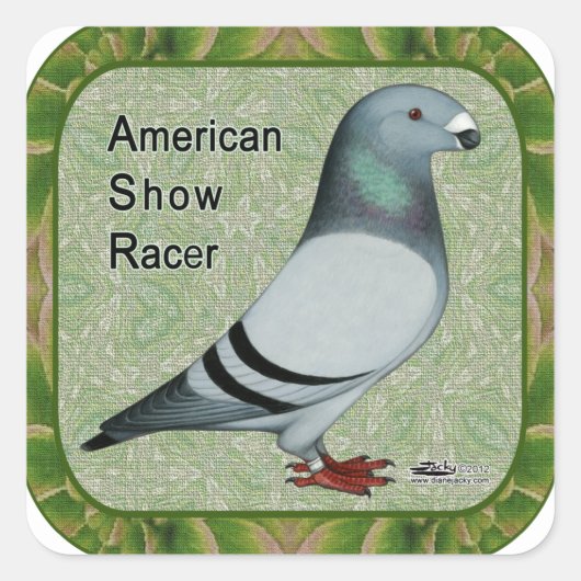 Sticker Carré Show Racer Framed (Devant)