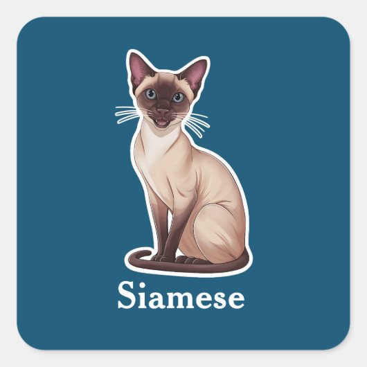 Sticker Carré Siamais (Devant)