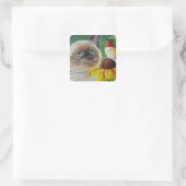 Sticker Carré Siamese Kitten & Hummingbird (Sac)