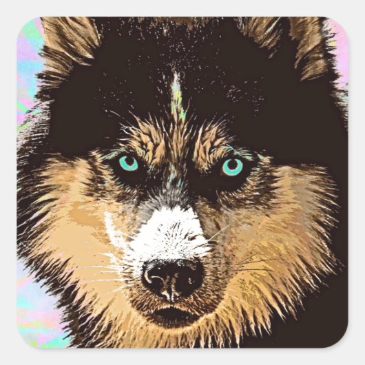 Sticker Carré Sibérien Husky (Devant)