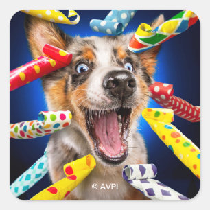 Sticker Carré Sifflets de fête pour chien heureux