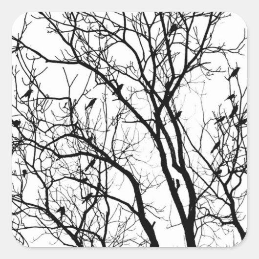 Sticker Carré Silhouette d'oiseaux par Therese Kramer (Devant)