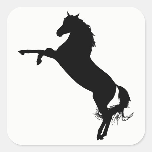 Sticker Carré Silhouette du cheval arabe (Devant)