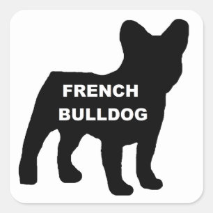 Sticker Carré silhouette du nom de bulldog français