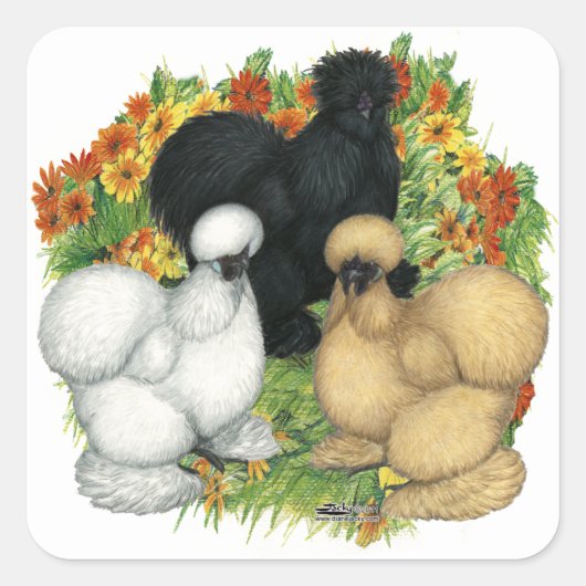 Sticker Carré Silkies du jardin de fleurs (Devant)