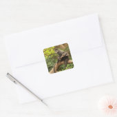 Sticker Carré singe (Enveloppe)