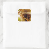 Sticker Carré Singe effronté. (Sac)
