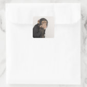 Sticker Carré Singe frottant son visage (Sac)