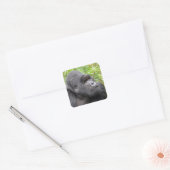 Sticker Carré Singe heureux (Enveloppe)