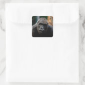 Sticker Carré Singe Primate (Sac)