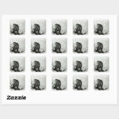 Sticker Carré Singes (Feuille)