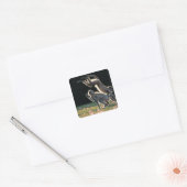 Sticker Carré Singes jouant (Enveloppe)