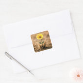 Sticker Carré Single Yellow Daisy Bursting Out of Dirt (Enveloppe)