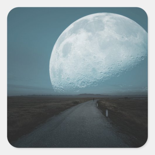 STICKER CARRÉ SKI ESPACE (Devant)