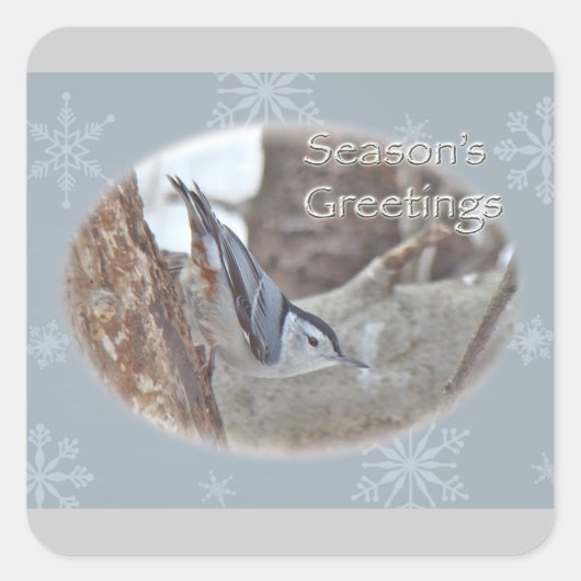 Sticker Carré Slate Grey Nuthatch Songbird Joyeuses Fêtes (Devant)