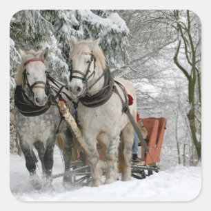 Sticker Carré Sleigh Ride in the Snowy Forest