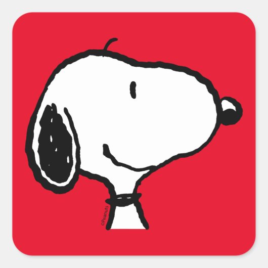 Sticker Carré Snoopy Smile Giggle Laugh (Devant)