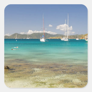 Sticker Carré Snorkelin dans l'idyllique Pirates Bight Cove, Big