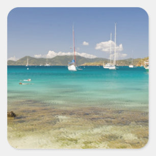 Sticker Carré Snorkelin dans l'idyllique Pirates Bight Cove, Big