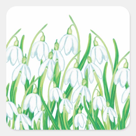 Sticker Carré Snowdrops de printemps (Devant)