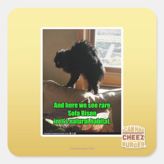 Sticker Carré Sofa Bison (Devant)