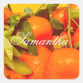 Sticker Carré Soft Orange Fruit Aesthétique (Devant)