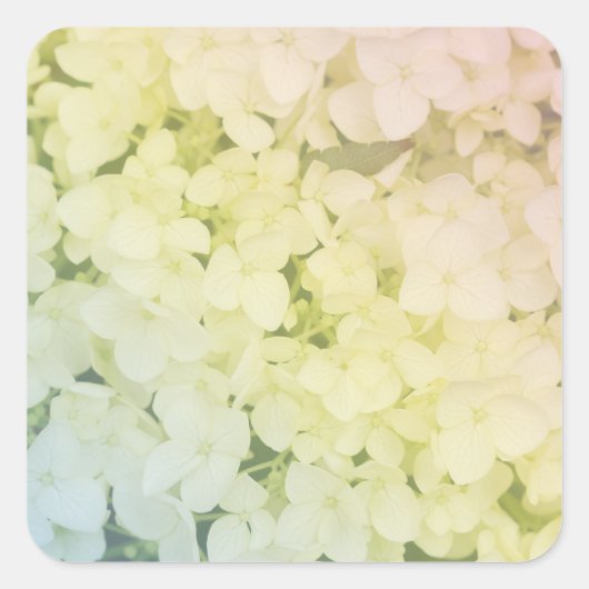 Sticker Carré Soft Pastel Rainbow Hydrangea (Devant)