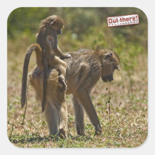 Sticker Carré Soin de bébé