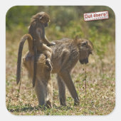 Sticker Carré Soins pour bébés (Devant)