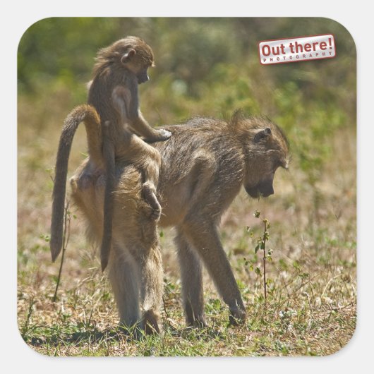 Sticker Carré Soins pour bébés (Devant)