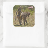 Sticker Carré Soins pour bébés (Sac)