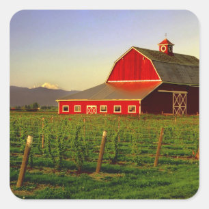 Sticker Carré Soleil du soir sur une grange dans le Skagit de Wa