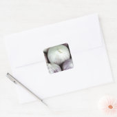 Sticker Carré Solo Garlic (Enveloppe)