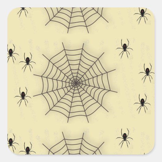 Sticker Carré Spider web and spiders on wall (Devant)