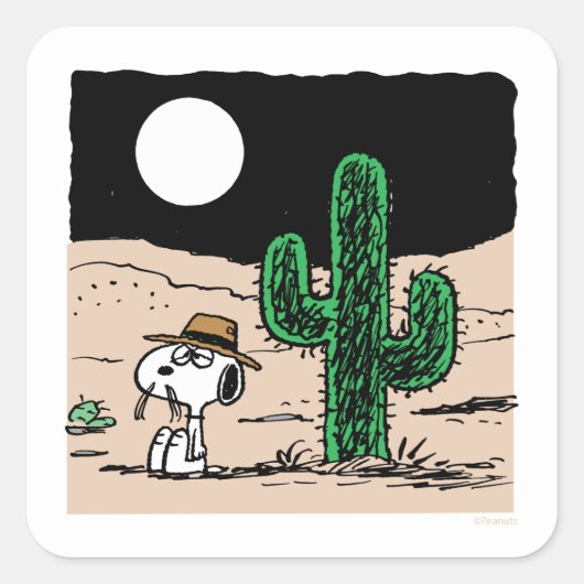 Sticker Carré Spike dans un désert illuminé par la Lune (Devant)