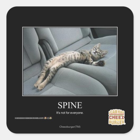 Sticker Carré Spine (Devant)