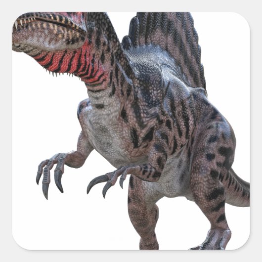 Sticker Carré Spinosaurus en cours d'exécution (Devant)