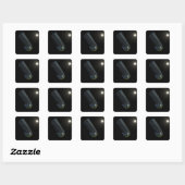 Sticker Carré Spitzer vu en lumière visible (Feuille)