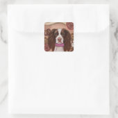 Sticker Carré Springer Spaniel anglais (Sac)