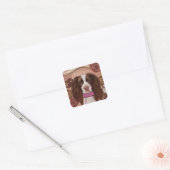 Sticker Carré Springer Spaniel anglais (Enveloppe)