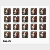 Sticker Carré Springer Spaniel Chien Art (Feuille)
