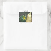 Sticker Carré Squash d'hiver (Sac)