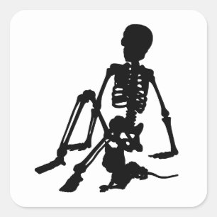 Sticker Carré squelette Boy et son animal de compagnie chat silh