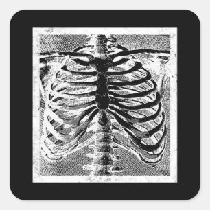 Sticker Carré Squelette Vintage Os Torse Corps Halloween