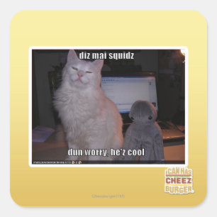 Sticker Carré squidz de l'AMI de diz