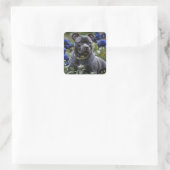 Sticker Carré Staffordshire Bull Terrier Dans Blue Rose Garden, (Sac)